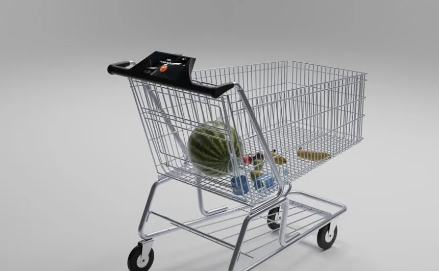 Smart shopping cart with voice assistant interface